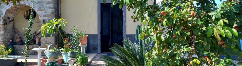 Ingresso Alla Casa