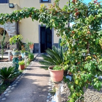00 entrance to the apartment sosta camper pier giovanni