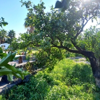 21 gardens kempu sosta camper pier giovanni